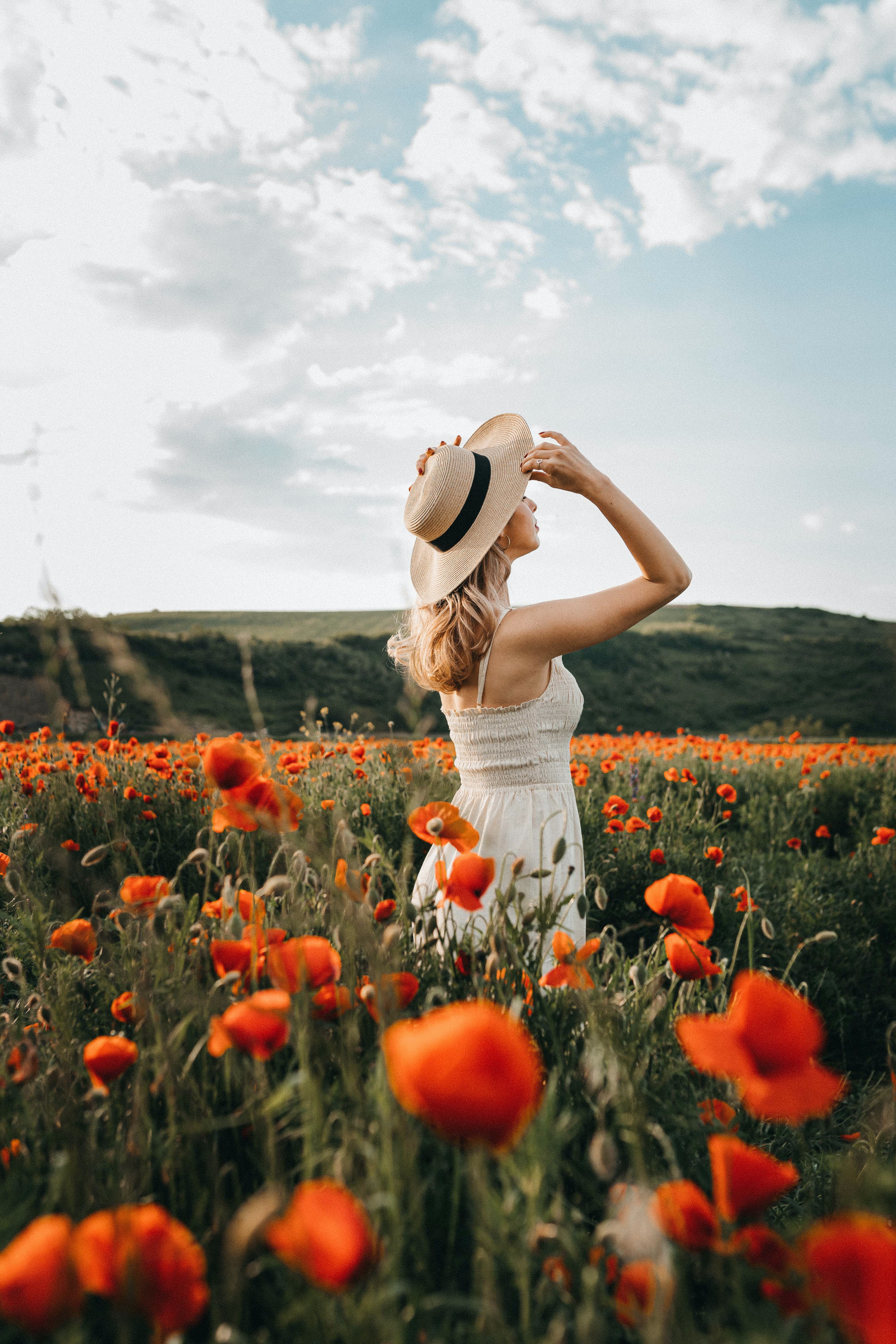 flower field